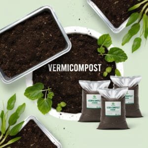 vermicompost